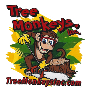 Tree Monkeys, Inc.